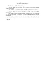 Hướng dẫn điều chỉnh chung cho lớp 5 ppt