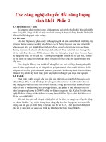 Các công nghệ chuyển đổi năng lượng sinh khối - Phần 2 docx