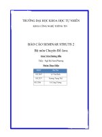 BÁO CÁO SEMINAR STRUTS 2 pot