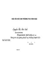 mẫu giấy khen hội cựu học sinh