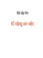 Bài tập lớn: Kĩ năng xin việc ppt