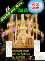 Đề tài: Phân tích thực trạng nhập khẩu tăm tre ở nước ta pdf