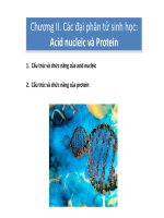 Chương II. Các đại phân tử sinh học: Acid nucleic và Protein ppt