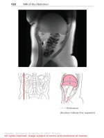 Pocket Atlas of Sectional Anatomy Computed Tomography and Magnetic Resonance Imaging - Volume II Thorax, Heart, Abdomen, and Pelvis (Part 2 ) doc