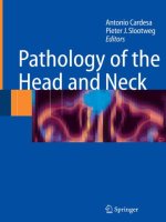 Pathology of the Head and Neck docx