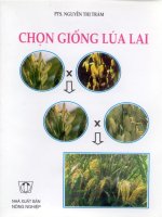 Chọn giống lúa lai ppt