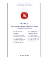 ĐỀ TÀI: CHIẾN LƯỢC KINH DOANH QUỐC TẾ CỦA HONDA TẠI THỊ TRƯỜNG VIỆT NAM potx
