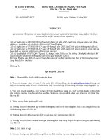 46_2010_TT-BCT QUY ĐỊNH VỀ QUẢN LÝ HOẠT ĐỘNG CỦA CÁC WEBSITE THƯƠNG MẠI ĐIỆN TỬ BÁN HÀNG HÓA HOẶC CUNG ỨNG DỊCH VỤ pot