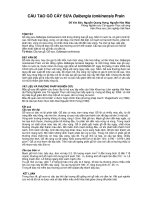 nghiên cứu khoa học ' cấu tạo gỗ sưa dalbergia tonkinensis prain '