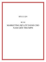 BÀI LUẬN ĐỀ TÀI: MARKETING ĐỒ LÓT DÀNH CHO NAM GIỚI TRIUMPH pptx