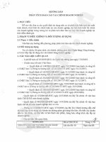 Hướng dẫn phân tích tài chính doanh nghiệp pot