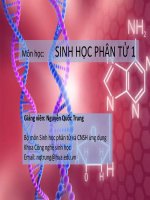 Môn học: SINH HỌC PHÂN TỬ 1-Nguyễn Quốc Trung pot