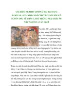 CÁC HÌNH VẼ PHẬT GIÁO CỔ ĐẠI TẠI HANG BAMIYAN, AFGANISTAN ĐÃ CHO THẤY SƠN DẦU CÓ NGUỒN GỐC TỪ CHÂU Á CHỨ KHÔNG PHẢI CHÂU ÂU NHƯ NGƯỜI TA VẪN NGHĨ docx