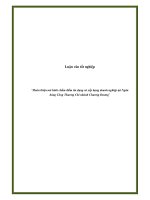 Luận văn tốt nghiệp: “Hoàn thiện mô hình chấm điểm tín dụng và xếp hạng doanh nghiệp tại Ngân hàng Công Thương Chi nhánh Chương Dương” potx