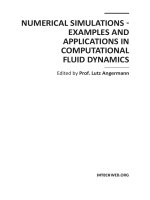 NUMERICAL SIMULATIONS EXAMPLES AND APPLICATIONS IN COMPUTATIONAL FLUID DYNAMICS_1 pps