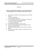 QUÁ TRÌNH HOẠT ĐỘNG SẢN XUẤT KINH DOANH CỦA DOANH NGHIỆP CÔNG TY CỔ PHẦN CÀ PHÊ TRUNG NGUYÊN pot