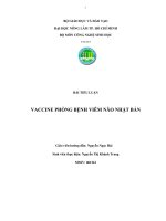 tiểu luận   vaccine phòng bệnh viêm não nhật bản