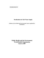 Public Health and the Environment World Health Organization Geneva 2007 pot