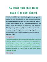 Kỹ thuật nuôi ghép trong quản lý ao nuôi tôm sú pptx