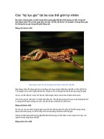 Những kỉ lục của thế giới tự nhiên