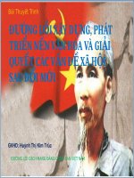 văn hóa vn sau đổi mới potx