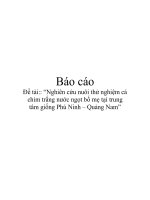 báo cáo  “nghiên cứu nuôi thử nghiệm cá chim trắng nước ngọt bố mẹ tại trung tâm giống phú ninh – quảng nam”