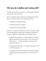 Thế nào là ô nhiễm môi trường đất? potx