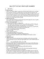 MA TÚY VÀ CÁC CHẤT GÂY NGHIỆN ppt