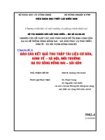 Chuyên đề 3: BÁO CÁO KẾT QUẢ THU THẬP TÀI LIỆU CƠ BẢN, KINH TẾ – XÃ HỘI, MÔI TRƯỜNG HẠ DU SÔNG ĐỒNG NAI – SÀI GÒN pdf