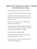 Những hành vi nào được coi là hành vi vi phạm hành chính về bảo vệ môi trường doc