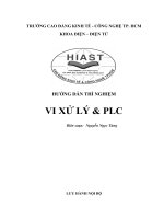 HƯỚNG DẪN THÍ NGHIỆM VI XỬ LÍ VÀ PLC docx