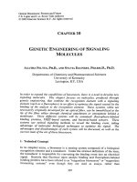 OPTICAL BIOSENSORS PRESENT AND FUTURE - PART 2 (end) pot