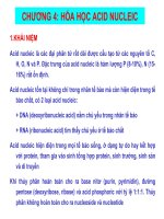CHƯƠNG 4: HÓA HỌC ACID NUCLEIC pptx