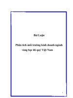 Phân tích môi trường kinh doanh ngành vàng bạc đá quý Việt Nam pot