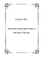 LUẬN VĂN:Thị trường Tái Bảo Hiểm lý luận và thực tiễn ở Việt Nam docx