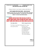 Chuyên đề 4: NGHIÊN CỨU DIỄN BIẾN LÒNG SÔNG, HÌNH THÁI SÔNG VÀ LOẠI HÌNH LÒNG DẪN HẠ DU SÔNG ĐỒNG NAI – SÀI GÒN doc