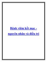 Bệnh viêm kết mạc nguyên nhân và điều trị pdf