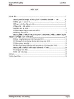 TL Thuc trang va bien phap khac phuc lam phat của VN nam 2010 ppsx