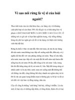 Vì sao nói rừng là vệ sĩ của loài người? pot