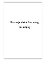 Hoa mộc chữa đau răng, hôi miệng potx