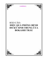 báo cáo ''''hiệu quả phòng bệnh do ký sinh trùng của bokashi trầu''''