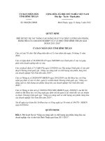 Quyết định số 968/QĐ-UBND potx