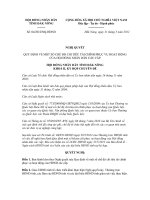 Quyết định số 04/2012/NQ-HĐND pdf