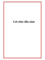 Lời chúc đầu năm pptx