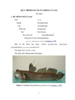 QUY TRÌNH SẢN XUẤT GIỐNG CÁ NÁC pdf