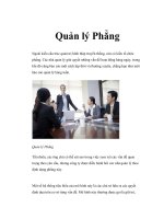 Quản lý Phẳng docx