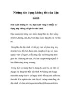 Những tác dụng không tốt của đậu nành pptx