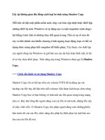 Lấy lại không gian đĩa bằng cách loại bỏ tính năng Shadow Copy pdf