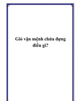 Giỏ vận mệnh chứa đựng điều gì? doc