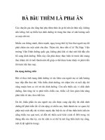 BÀ BẦU THÈM LÀ PHẢI ĂN potx